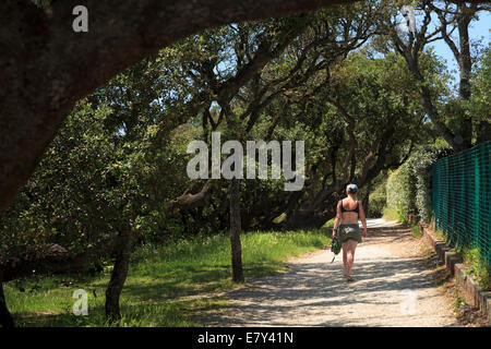 Une femme s'éloigne le long d'un chemin bordé d'arbres. Banque D'Images