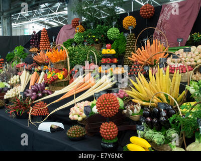 Malvern, Worcestershire, Royaume-Uni 26 septembre 2014. Le Malvern Autumn show se prépare à accueillir les visiteurs samedi et dimanche, Malvern, Royaume-Uni. Sur la photo : légumes merveilleux de l'affichage de Medwyns Rivier. Crédit : Ian Thwaites/Alamy Live News Banque D'Images