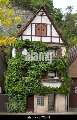 Envahi par la vieille maison à colombages Banque D'Images