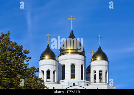 Les dômes de la Cathédrale du Christ Sauveur. Kaliningrad (anciennement Koenigsberg), Russie Banque D'Images