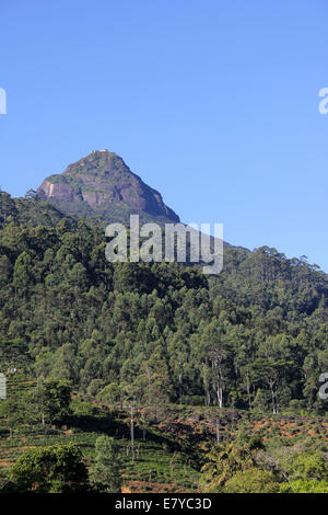 Adam's Peak, un important lieu de pèlerinage pour les bouddhistes et les Hindous aussi, Chrétiens et Musulmans à Sri Lanka's Central Highlands Banque D'Images