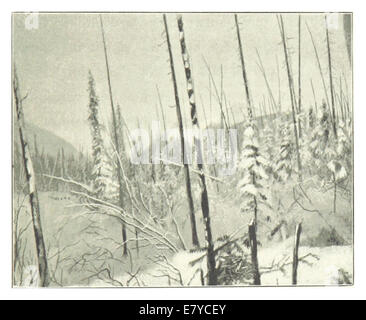 Cette illustration de Pike de 1896 représente du bois brûlé dans un paysage hivernal, mettant en évidence le contraste entre les restes brûlés des arbres et l'environnement froid et enneigé. La scène reflète les rudes conditions hivernales dans les régions touchées par le feu. Banque D'Images