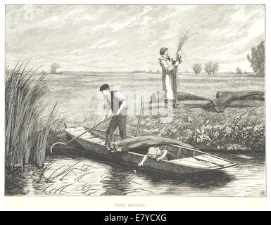 Cette illustration de 1875 représente Rush Cutting, une scène ou un événement du XIXe siècle. L'image offre un regard historique sur un aspect de la vie rurale ou industrielle au cours de cette période. Banque D'Images