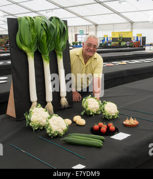 Malvern, Worcestershire, Royaume-Uni, 26 septembre 2014. Brian Storer faire les derniers ajustements à son affichage dans le salon d'automne de Malvern. Le Malvern Autumn Show ouvre ses portes au public demain (samedi). Crédit : Ian Thwaites/Alamy Live News Banque D'Images