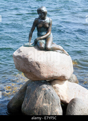 La statue de la petite Sirène de Copenhague rend hommage au conte bien-aimé de Hans Christian Andersen, perché gracieusement sur un rocher portuaire depuis 1913. Banque D'Images