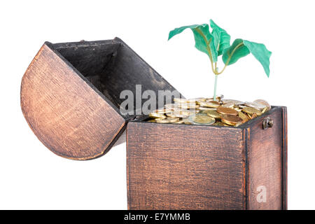 La poitrine de l'argent en bois remplis de pièces de monnaie et un arbre d'argent, isolé sur fond blanc Banque D'Images