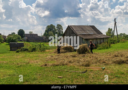 Cour Village dimanche. Le séchage du foin dans la chambre cour. Banque D'Images