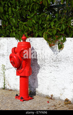 D'INCENDIE rouge vif dans la rue, Vila Praia de Ancora , le nord du Portugal Banque D'Images