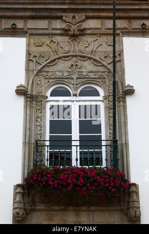 Fenêtre en pierre sculptée ornée du manoir Casa de Carreira et géraniums dans la boîte de fenêtre, Viana do Castelo, nord du Portugal Banque D'Images