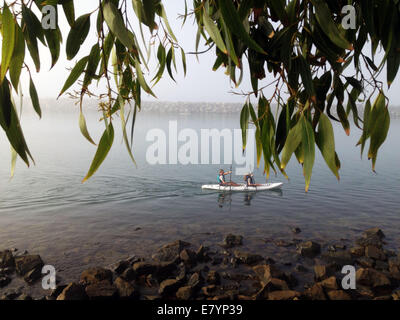 Dana Point, Californie, USA. 26 Sep, 2014. Les kayakistes de mer profitez de la fraîcheur de l'aube sous un épais brouillard dans Dana Point Harbor. Un kayak de mer ou kayak touring est un kayak développé pour le sport de pagayer sur les eaux libres des lacs, baies, et l'océan. Credit : ZUMA Press, Inc./Alamy Live News Banque D'Images