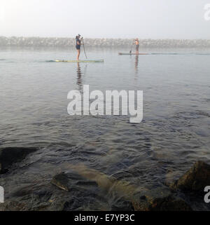 Dana Point, Californie, USA. 26 Sep, 2014. Stand Up Paddle (SUP) boarders profiter de la fraîcheur tôt le matin sous un épais brouillard dans Dana Point Harbor. Le Stand Up Paddle Surf et Stand Up Paddle (SUP), (Hoe il'e Nalu dans la langue hawaiienne) sont originaires de New York sports comme une branche de surf. Un rapport de 2013 l'a appelé l'activité sportive en plein air avec le plus de nouveaux participants de tout aux États-Unis cette année. Credit : ZUMA Press, Inc./Alamy Live News Banque D'Images