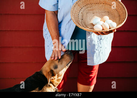 Woman holding oeufs dans le panier et tapotant dog Banque D'Images