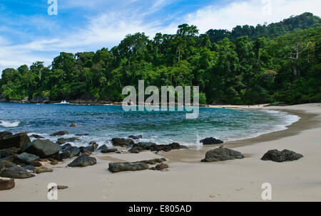 Belle Teluk Hijau (Green Bay) plage de Banyuwangi, l'Est de Java, Indonésie Banque D'Images