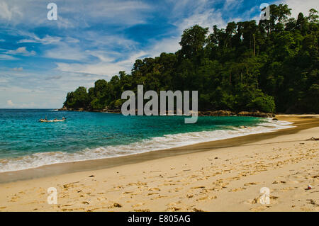 Belle Teluk Hijau (Green Bay) plage de Banyuwangi, l'Est de Java, Indonésie Banque D'Images