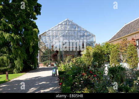 Serre tropicale dans l'Hortus Botanicus Leiden, Hollande Banque D'Images