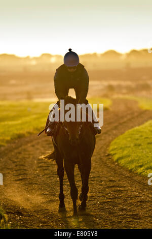 Promenade à cheval le matin à West Witton, Yorkshire. Septembre 2014. Météo Royaume-Uni. Soleil matinal au-dessus de Middleham all-weather Gallops tandis que les jockeys de course plate prennent l'entraînement au-dessus des Moors du North Yorkshire. Banque D'Images