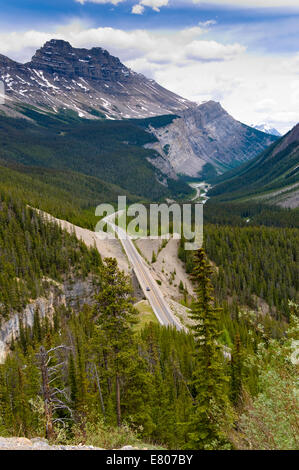 Saskatchewan River Crossing, promenade des Glaciers, Banff National Park, Alberta, Canada Banque D'Images