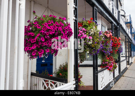 La ville de Sidmouth, Devon, Angleterre.paniers suspendus de la floraison rose et blanche de pétunias à l'extérieur terrasse en front de mer de maisons de Sidmouth. Banque D'Images