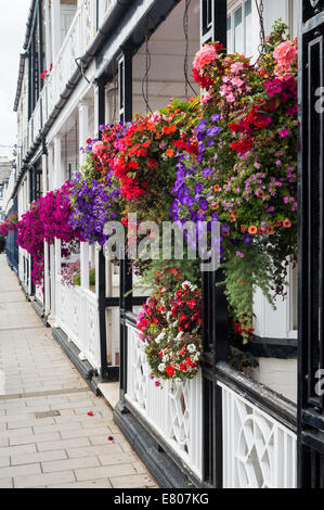 La ville de Sidmouth, Devon, Angleterre. Paniers suspendus de la floraison rose et blanche de pétunias en dehors d'un front de mer chambre à Sidmouth. Banque D'Images