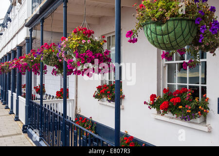 La ville de Sidmouth, Devon, Angleterre. Paniers suspendus de la floraison rose et blanche de pétunias en dehors d'un front de mer chambre à Sidmouth. Banque D'Images