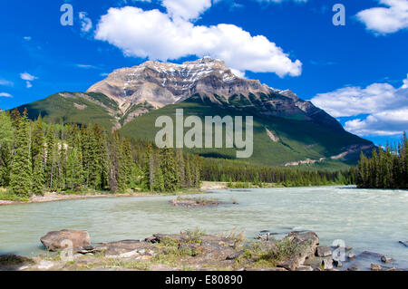 Les chutes Athabasca, promenade des Glaciers du parc national de Jasper, Alberta, Canada Banque D'Images