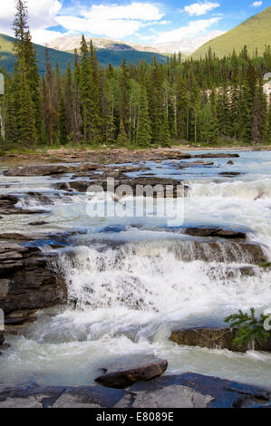 Les chutes Athabasca, promenade des Glaciers du parc national de Jasper, Alberta, Canada Banque D'Images