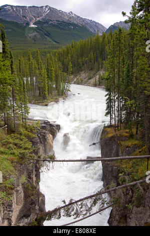 Les chutes Sunwapta, Jasper National Park, Alberta, Canada Banque D'Images