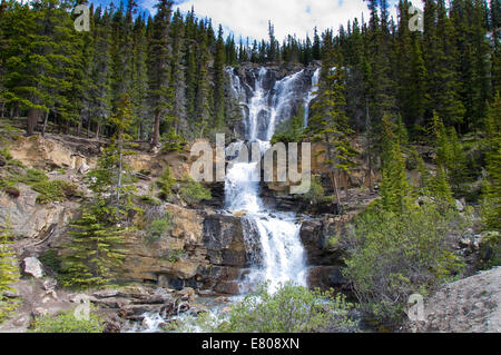 Chutes Tangle, Jasper National Park, Alberta, Canada Banque D'Images