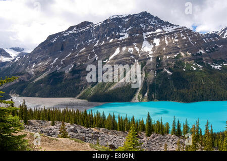 Le lac Peyto, Banff National Park, Alberta, Canada Banque D'Images