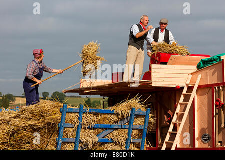 Burton Joyce, Dorset, UK. 27 septembre 2014. Une démonstration de la machine de mise en balles vintage à Southwell de labour et afficher dans le Nottinghamshire, Angleterre Crédit : penny fillingham/Alamy Live News Banque D'Images