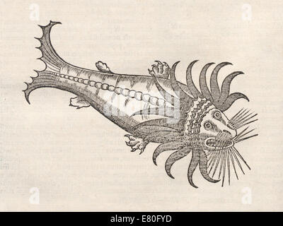 Illustration de créature marine de 'Historia animalium" par Conrad Gessner (1516-1565). Voir la description pour plus d'informations. Banque D'Images