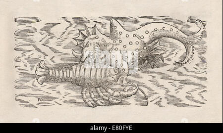 Illustration de monstres marins de 'Historia animalium" par Conrad Gessner (1516-1565). Voir la description pour plus d'informations. Banque D'Images