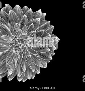 La conception de cartes en noir et blanc avec dessin de fleur dahlia Banque D'Images