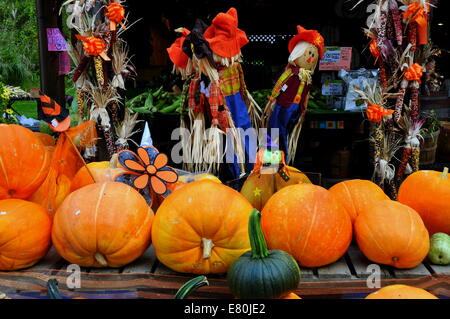 Deerfield, Massachusetts : un affichage saisonnier de citrouilles, le maïs, et l'épouvantail décoration lors d'un farm stand Banque D'Images