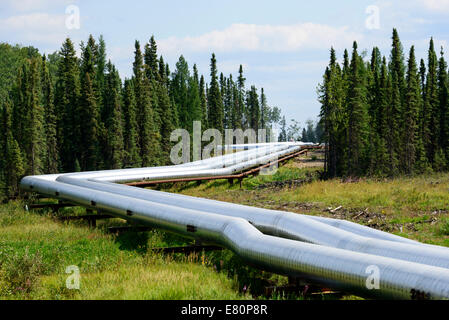 Lignes d'écoulement Banque D'Images