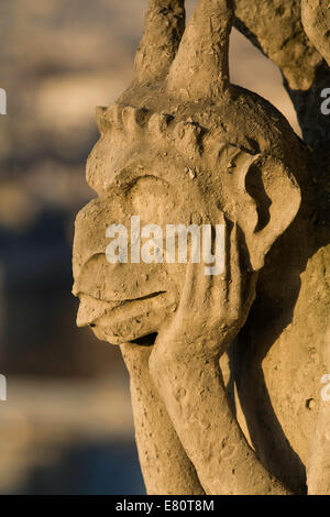 France, Paris, Chimera sur façade de la Cathédrale Notre-Dame Banque D'Images