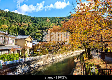 Feuilles rouges des érables en automne, le Japon pour adv ou autres fins utiliser Banque D'Images