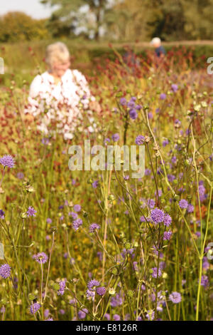 Bruton, Somerset. Septembre 2014. Temps d'automne magnifique sur le dernier week-end de septembre a amené de nombreux visiteurs à l'Hauser & Wirth jardins à leur galerie à Bruton, Somerset, Royaume-Uni. Les jardins ont été conçus par le Néerlandais Piet Oudolf paysagiste. Banque D'Images