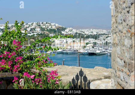 La marina de Salamakis Bay Bodrum vue du château de Saint Pierre Banque D'Images