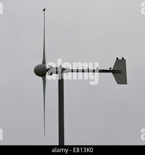 Les oiseaux sur wind turbine Banque D'Images