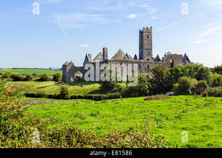 Abbaye de Quin, près d'Ennis, dans le comté de Clare, Irlande Banque D'Images