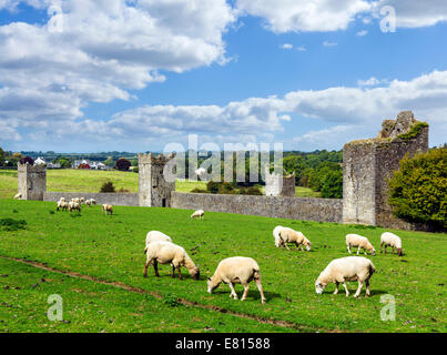 Paysage irlandais. Moutons paître devant le Prieuré de Kells, comté de Kilkenny, République d'Irlande Banque D'Images