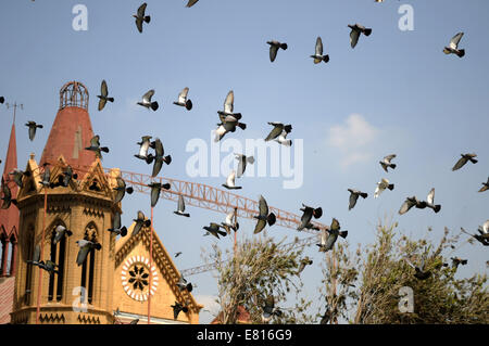 (140929) -- KARACHI, le 29 septembre, 2014 (Xinhua) -- Les pigeons volent au-dessus de l'Frere Hall dans le sud de l'édifice port pakistanais ville de Karachi le 28 septembre 2014. Frere Hall est l'un des nombreux vestiges de bâtiments de l'ère coloniale Britannique qui existent encore dans la région de Karachi. Il a été construit en l'honneur de Sir Henry Bartle Frere Edward, qui était connu pour la promotion du développement économique et de rendre le sindhi comme seule langue officielle. (Xinhua/Ahmad Kamal)(cy) Banque D'Images