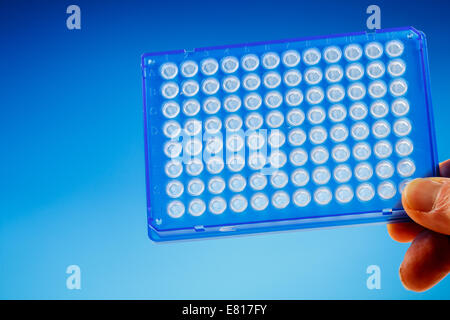 Plaque PCR 96 puits. Dispositif pour les recherches sur l'ADN. La recherche mène à l'appareil de contrôle de l'ADN portable Banque D'Images