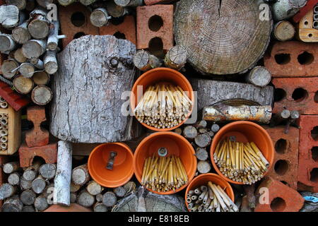 Détail d'un hôtel de la faune d'insectes (pile) avec des briques, bambou, les chaudrons et les journaux pour encourager l'hibernation des insectes dans des jardins, UK Banque D'Images