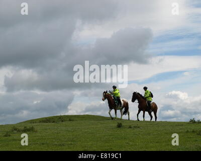 Chevaux et cavaliers au Pays de Galles Banque D'Images