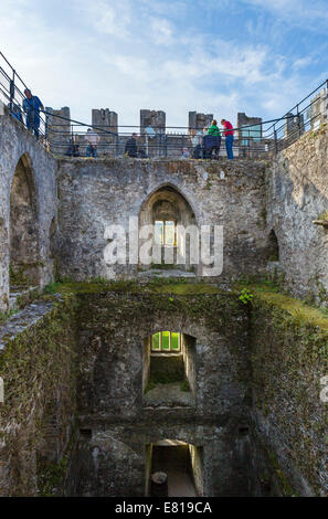 Les touristes en attente d'embrasser la pierre de Blarney, le château de Blarney, près de Cork, County Cork, République d'Irlande Banque D'Images
