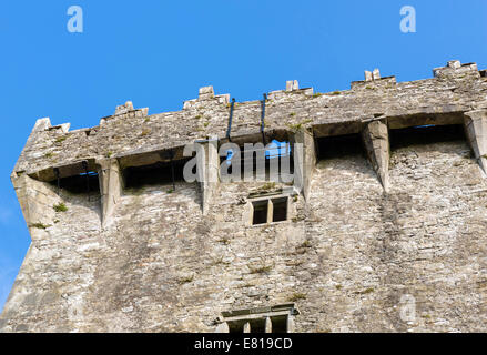 La pierre de Blarney à partir de ci-dessous (au centre de l'image ci-dessus la fenêtre supérieure), le château de Blarney, près de Cork, County Cork, République d'Irlande Banque D'Images