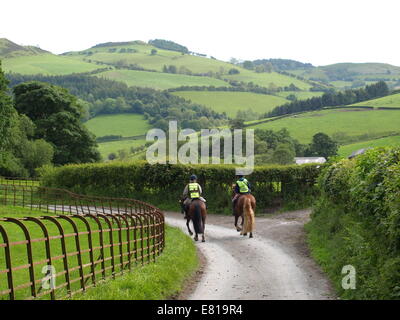 Chevaux et cavaliers au Pays de Galles Banque D'Images