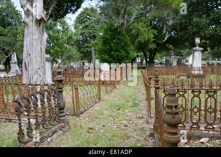 Rangée de terrains familiaux dans Magnolia Cemetery, bordé de clôtures en fer. Banque D'Images